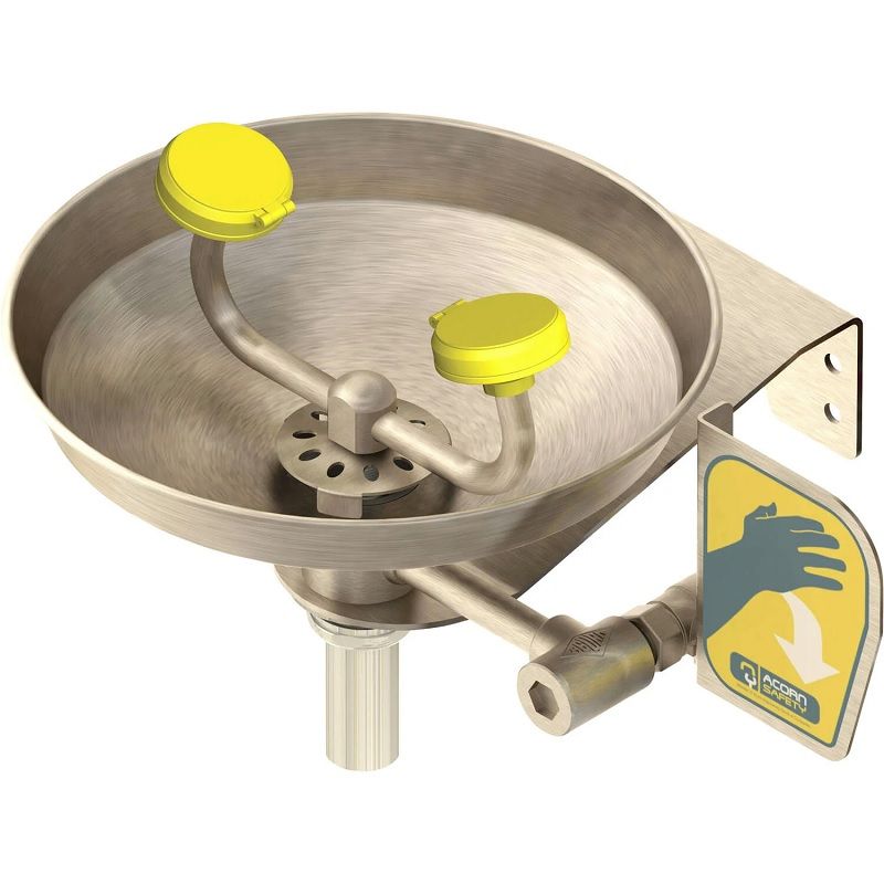 Wall Mounted Eye Wash, All Stainless