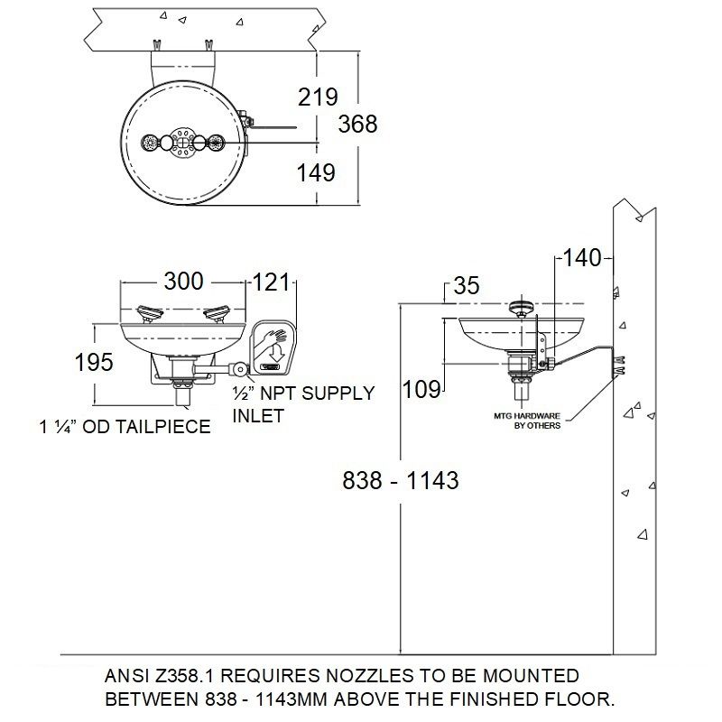 Wall Mounted Eye Wash, All Stainless