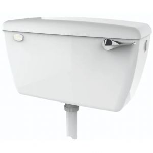 Exposed Lever Operated Cistern for Bariatric Toilet image